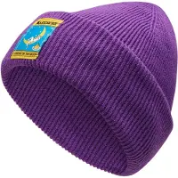 La Sportiva Climbing on the Moon Beanie Viola/Giallo