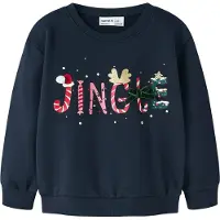 Name it Sweatshirt 'NMFPOLMAX' marinblå / guld / gran / ljusrosa
