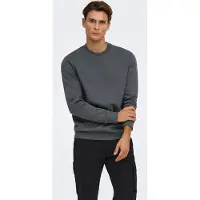 Only & Sons Sweatshirt 'Ceres' mörkgrå
