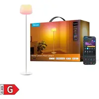Govee Lantern Floor Lamp