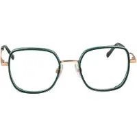 Ana Hickmann Optical Frame HIY1028T T01 48 Titanium
