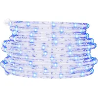 vidaXL Ljusslang med 120 lysdioder kallvit 5 m PVC
