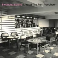 Ginza.se Swansea Sound: Live at the Rum Puncheon
