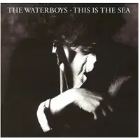 Ginza.se Waterboys: This is the sea 1985 (Rem)