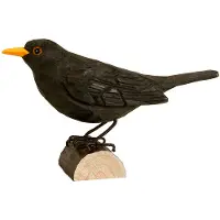 Wildlife Garden DecoBird Koltrast
