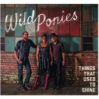 Ginza.se Wild Ponies: Things That Used To Shine